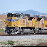 Steve McKee - Instagram Profile Picture of Steve McKee (@svmckee1971) on Instagram