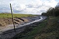 Profile Picture of Freckleton Poolon Wikipedia