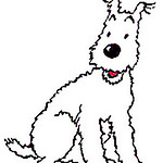 Profile Picture of Salt Lake Living (@salt lake living) on Flickr