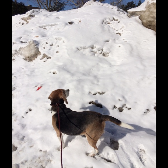 Profile Picture of Sara Dubrowski (@buckncap) on Poshmark