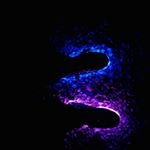 Profile Picture of Nelson Chapman (@nelsonchapman6) on Instagram