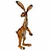 Profile Picture of Maria Grundy (@Hartley the Hare) on Flickr
