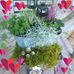 Profile Picture of Gunilla Wigren (@gunilla.wigren) on Facebook