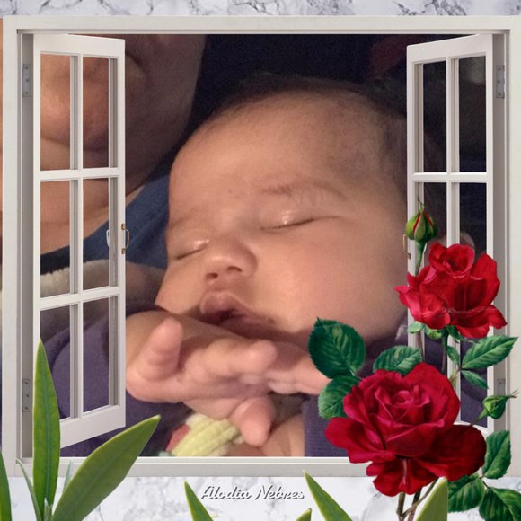 Melissa-joe Winsea - Poshmark Profile Picture of Melissa-joe Winsea (@mwinsea) on Poshmark