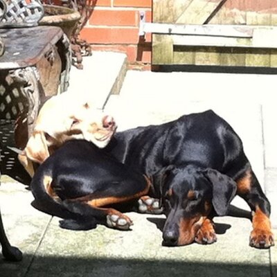 Profile Picture of Joanne Raby (@69Jolene) on Twitter