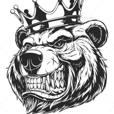 Profile Picture of Shreel Chhatbar (@Embedded_King) on Twitter