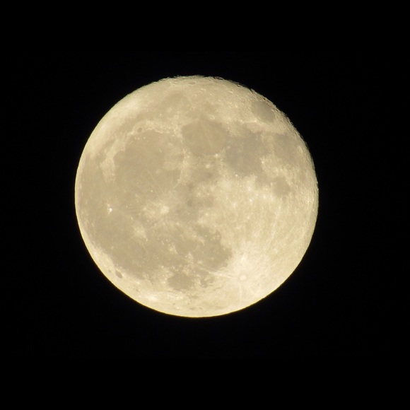 Profile Picture of Frank Albino (@ineedsixty) on Poshmark