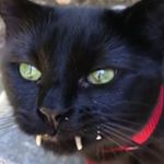 Profile Picture of robertearlhughescremation (@robertearlhughescremation) on Instagram