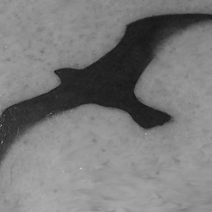 Profile Picture of Thomas Vandivier (@anyotherhero) on Myspace