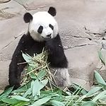 Murielle Heron - Instagram Profile Picture of Murielle Heron (@murielleheron) on Instagram