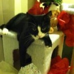 Profile Picture of Bobbie Lee Magnussen McCabe (@morgan5058gmailcom) on Instagram