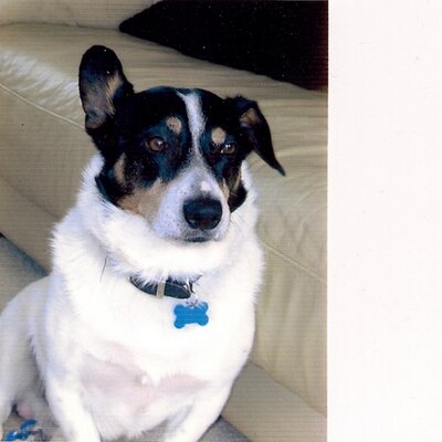 Profile Picture of George Forrest (@GeorgeWedge1) on Twitter