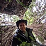 Profile Picture of Sasha Aranovsky (@twilightalchemist) on Instagram