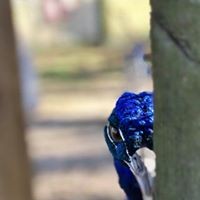 Profile Picture of Kim Dillow (@kim-dillow-1) on Quora