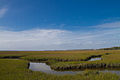 Profile Picture of Amelia Island - Wikipedia, the free encyclopediaon Wikipedia