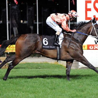 Profile Picture of Joe Busuttil (@punter_67) on Twitter