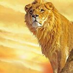 Profile Picture of James Fenelon (@jamesfenelon) on Instagram