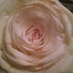 Profile Picture of Carolyn Blake (@carolynb_art) on Instagram