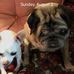 Profile Picture of Kevin Wilks (@kevin.wilks.7140) on Facebook