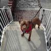 Profile Picture of richardferranti93 (@richardferranti93) on Tiktok