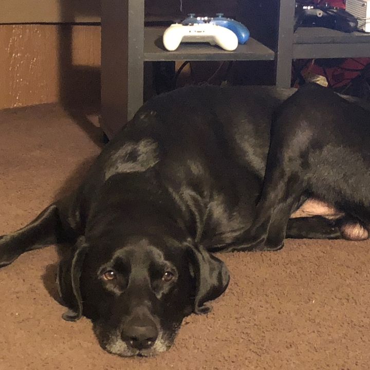 Profile Picture of Michael Hammer (@michaelhammer732) on Tiktok