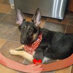 Profile Picture of Mushaid Mirza (@Mushaid-Mirza) on Facebook