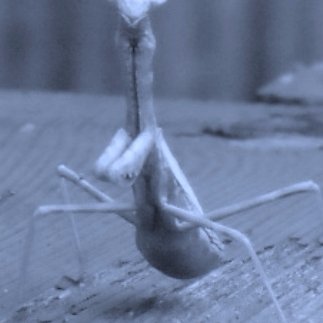 Profile Picture of John Wander (@jj_rotten) on Twitter