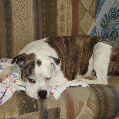 Linda Gregory Warden - Twitter Profile Picture of Linda Gregory Warden (@LGregoryWarden) on Twitter