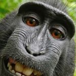 Profile Picture of Alexander Isaac (@alexander_isaac2006) on Instagram