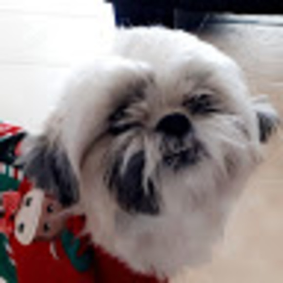 Profile Picture of Natty Schery (@nat_s711) on Poshmark