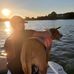 Profile Picture of Steve Schafer (@steve.schafer.54) on Facebook