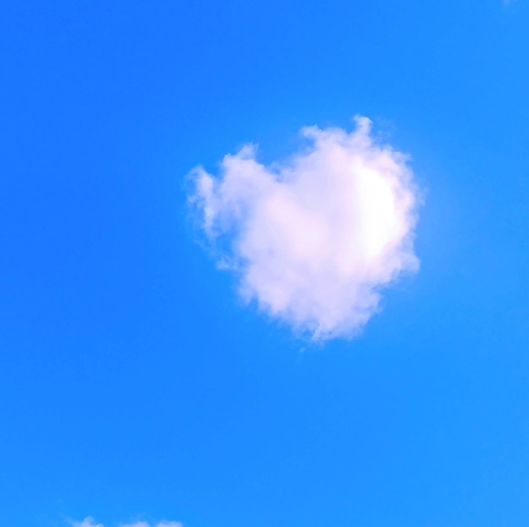 Profile Picture of Michelle Herbold (@shellherb) on Poshmark