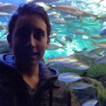 Adam Stella - Instagram Profile Picture of Adam Stella (@jonnyymack) on Instagram