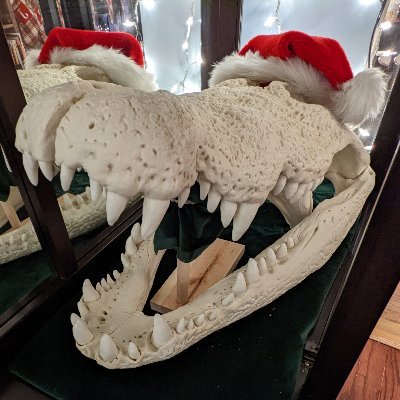 Profile Picture of TA Holmes (@fadeno_paleoart) on Twitter