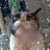 Profile Picture of Nancy Minten (@nancy.minten) on Facebook