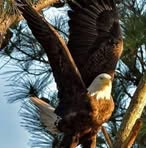 Profile Picture of Daniel Eckhart (@daniel.eckhart) on Facebook