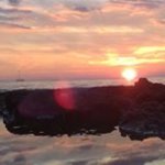 Dirk Wardenaar - Instagram Profile Picture of Dirk Wardenaar (@dirkwardenaar) on Instagram