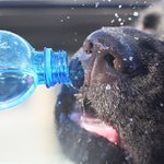 Profile Picture of Kevin Ertl (@espotixon) on Instagram