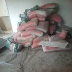 Profile Picture of Thomas Canoy (@thomas.canoy.2025) on Facebook