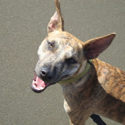 Profile Picture of Shelby Tilden (@waterskiaholic) on Youtube