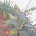 Profile Picture of Sello Joseph (@sello.joseph.50364) on Facebook