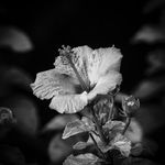 Profile Picture of Otten Mike (@photography_by_m_o) on Instagram