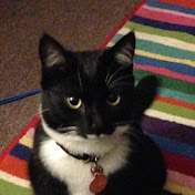 Profile Picture of Lisa Sutherland-Fraser (@lisasutherland-fraser4479) on Youtube