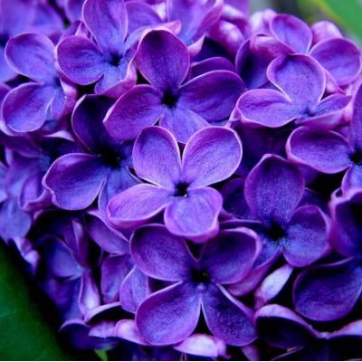 Profile Picture of Robin Baise (@baise_girl) on Twitter