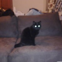 Profile Picture of Andrew Barbuto (@andrew-barbuto) on Quora