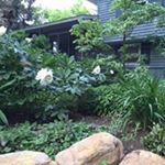 Profile Picture of Scott Haack (@haackscott) on Instagram