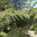 Profile Picture of John Katick (@inock.john.2025) on Facebook