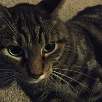 Profile Picture of Christopher Box (@christopher-box-8) on Quora