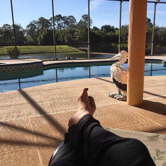 Profile Picture of Karen Panagopoulos (@kcp980) on Poshmark