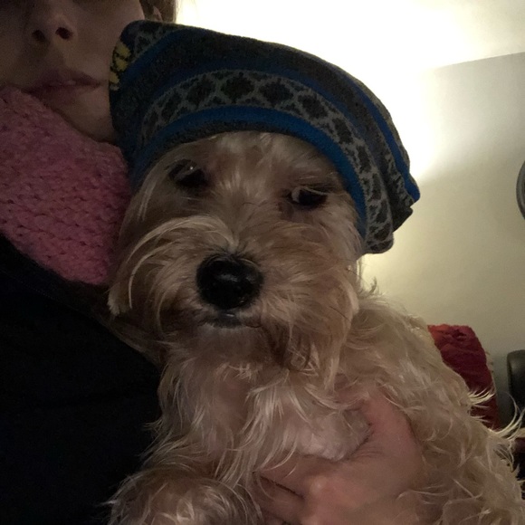 Profile Picture of Astrid Ramirez (@astrikis) on Poshmark